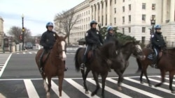 Inauguration Security -- A Year In The Planning