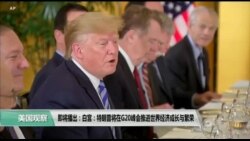美国观察 2019年6月28日