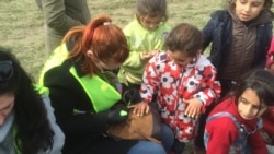 Volunteers painting nails of refugees at Idomeni