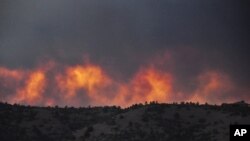 Kebakaran hutan di Prescott, negara bagian Arizona pada 18/6. Pemadam kebakaran terus dikerahkan untuk memadamkan kebakaran hutan di sana. 