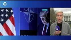 В Белом доме встречаются глава НАТО и президент США