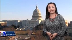 Amerika Manzaralari/Exploring America, Jan 8, 2018