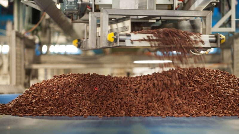 US College Program Accused of Human Trafficking