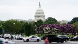 Estados Unidos AL DIA Agosto 3 