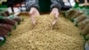 特朗普: 中国开始从美国购买数量巨大的大豆