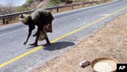 FILE - Aluniya Ngulube gathers corn from the scene of an accident where a truck carrying corn had spilled it's load on a road in Zambia in August 2002.