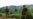 M23 rebels seize key town in eastern DRC