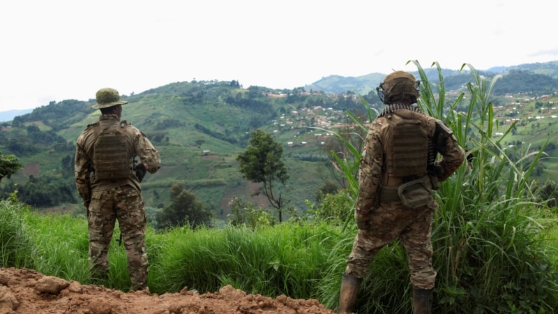 M23 rebels seize key town in eastern DRC