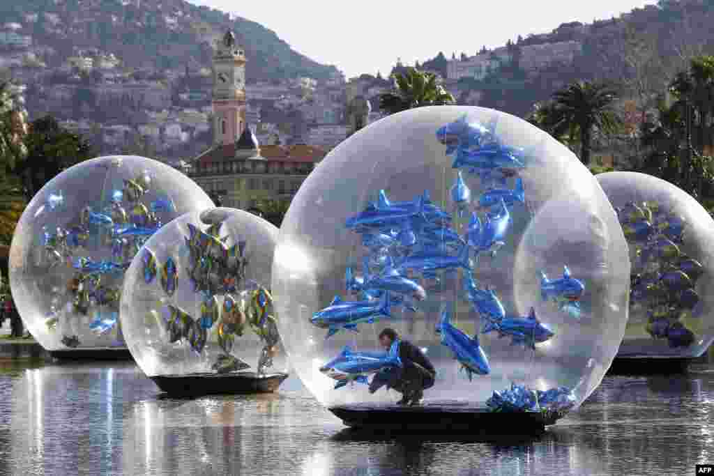 A man installs shark-shaped balloons enclosed in a plastic globe in a water fountain in Nice, France.