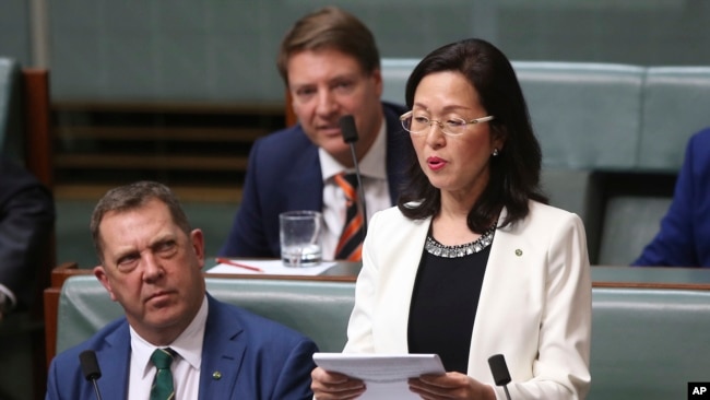澳大利亚有史以来第一位华裔联邦议会议员廖婵娥在澳大利亚众议院发言。（2019年7月25）