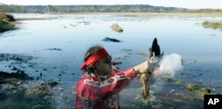 FILE - Bob Sison, a Nisqually Tribal Elder, burns sage in a "Welcoming of the Tides" ceremony Oct. 31, 2006 near Nisqually, Wash.