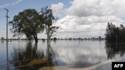 Một mũi tên sơn trên Quốc lộ Capricorn được nhìn thấy dưới nước lụt ở Rockhampton, 03/01/2011