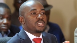 MDC Alliance Leader Looks Beyond Zimbabwe to Challenge Mnangagwa Election Victory
