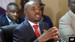 Bato reMDC Alliance rinoti richagadza VaNelson Chamisa semutungamiri wenyika.