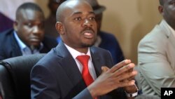 Opposition leader Nelson Chamisa addresses a media conference at party headquarters in Harare, Zimbabwe, Aug, 25, 2018. 