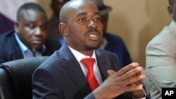 Opposition leader Nelson Chamisa addresses a media conference at party headquarters in Harare, Zimbabwe, Aug, 25, 2018. 