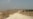 Kobanî li Girê Miştenûrê Dest bi Çandina Daran Dikin