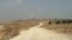 Kobanî li Girê Miştenûrê Dest bi Çandina Daran Dikin