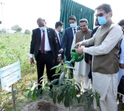 PM Pakistan Imran Khan meresmikan hutan kota Miyawaki terbesar di dunia, di Lahore, Pakistan 9 Agustus 2021. (Handout Departemen Informasi Pers (PID) via REUTERS)