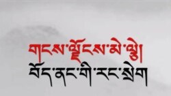 གངས་ལྗོངས་མེ་ལྕེ། བོད་ནང་གི་རང་སྲེག་ཞེས་པའི་གློག་བརྙན།