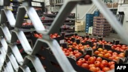 Gotovo svi Evropljani prestali su da kupuju voće i povrće iz Španije