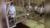 İran yeni uran mədənləri açır