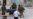 Israel Detains Soldier After Shooting Palestinian Attacker