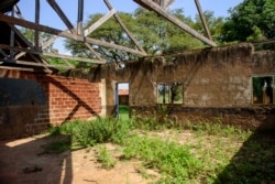 Weeds grow in a classroom with a roof that was destroyed during a storm just before the coronavirus lockdown, Oct. 19, 2021. (AP Photo/Nicholas Bamulanzeki)