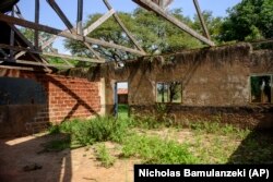 Weeds grow in a classroom with a roof that was destroyed during a storm just before the coronavirus lockdown, Oct. 19, 2021. (AP Photo/Nicholas Bamulanzeki)