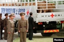 Bir millət – iki dövlət: Cənubi Koreyanın "Hyundai" şirkəti Şimali Koreyada aclıq qurbanlarına yardım göndərir.