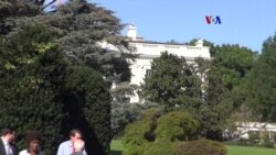 Cosechando vegetales en la Casa Blanca