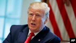 President Donald Trump tweeted, June 17, 2019, that U.S. Immigration and Customs Enforcement will begin removing millions of people who are in the country illegally. 