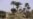 Red Cross: 1 Million Pakistani Flood Victims Unable to Return Home