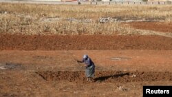 FILE - A woman works her land amid a nationwide COVID-19 lockdown, in Soweto, South Africa ,July 31, 2020. 