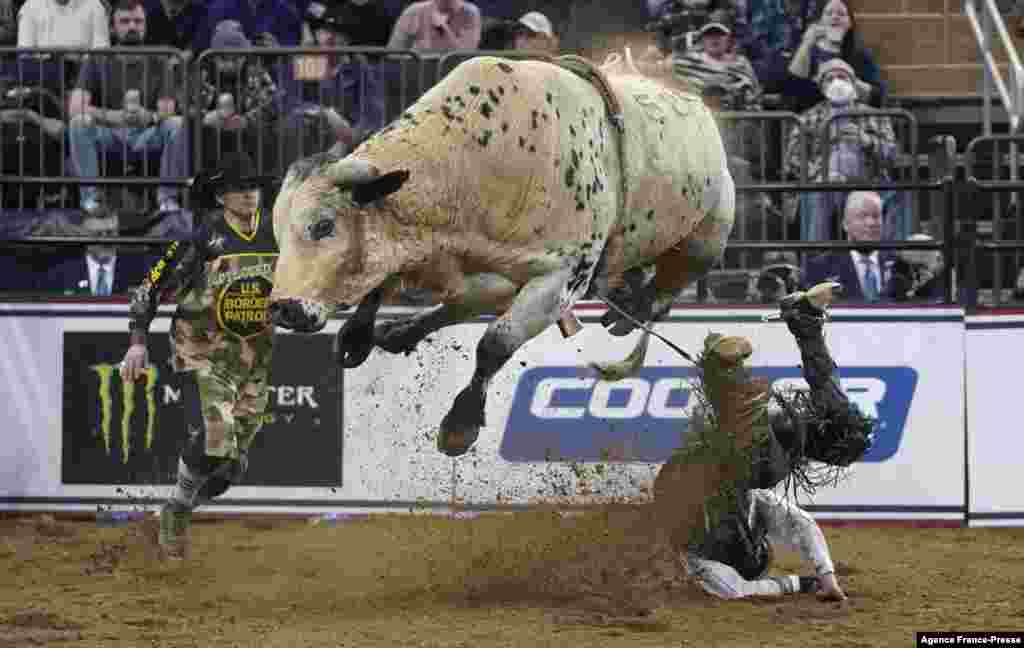 Bull Rider Dalton Kasel rides The Good Stuff during the second round of the PBR Unleash The Beast Monster Energy Buckoff at Madison Square Garden in New York, Jan. 8, 2022.