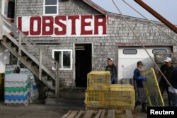 Men carry lobster traps at Greenhead Lobster docks in Stonington, Maine, July 7, 2017.