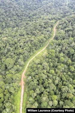 Massive development corridors cut through the African landscape, Aug. 11, 2012.