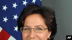 Deputy Assistant Secretary for Near Eastern Affairs Tamara Wittes (undated photo)