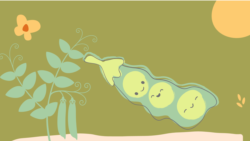 Peas in a Pod - Friendship idiom