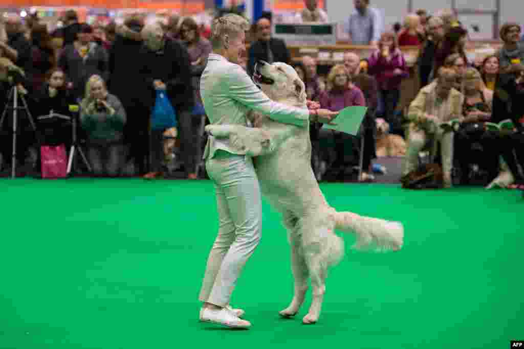 A woman embraces her golden retriever dog after it was awarded a prize on the first day of the Crufts dog show at the National Exhibition Centre in Birmingham, central England.