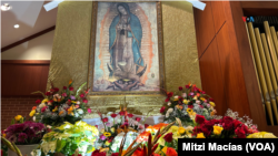 En Fotos | Música, danza y tradición por la Virgen de Guadalupe en EEUU