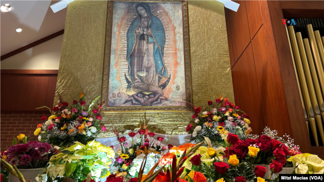 En Fotos | Música, danza y tradición por la Virgen de Guadalupe en EEUU