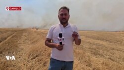 Li Qamişlo Agirekî Dijwar bi Zevîyên Cotkaran Ket 
