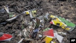 Wreckage lies at the scene of an Ethiopian Airlines flight that crashed shortly after takeoff at Hejere near Bishoftu, or Debre Zeit, some 50 kilometers (31 miles) south of Addis Ababa, in Ethiopia Sunday, March 10, 2019. 