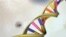 A DNA double helix is seen in an undated artist's illustration released by the National Human Genome Research Institute to Reuters on May 15, 2012. REUTERS/National Human Genome Research Institute/Handout