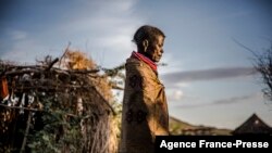 তুর্কানা সম্প্রদায়ের একজন মহিলা মরুঙ্গোলের একটি শুষ্ক পথ দিয়ে হেঁটে যাচ্ছেন। কেনিয়ার তুর্কানা কাউন্টি, ৪ই অক্টোবর, ২০১৯, ছবি-এজেন্সি ফ্রান্স প্রেস