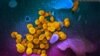 Up Close With the Enemy: Coronavirus in Stunning Detail