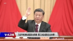 时事大家谈：习近平终身执政宣言全亮相，第三决议或致左右共愤？