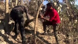 Rescuers Save 13-Foot Python From Pipe in India 