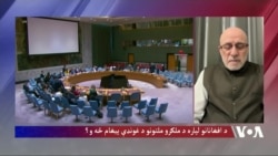 داودزی: افغانستان کې د زاړه فکر حاکمانو افغانستان منزوي کړی